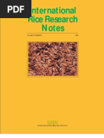 Download International Rice Research Notes Vol 23 No2 by ccquintos SN66480592 doc pdf