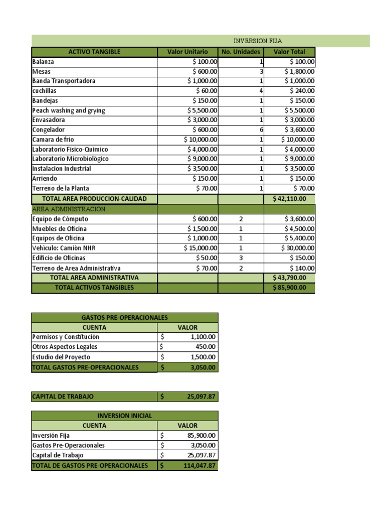 Modelo Proyecto de Inversión | PDF | Salario | Hoja de balance