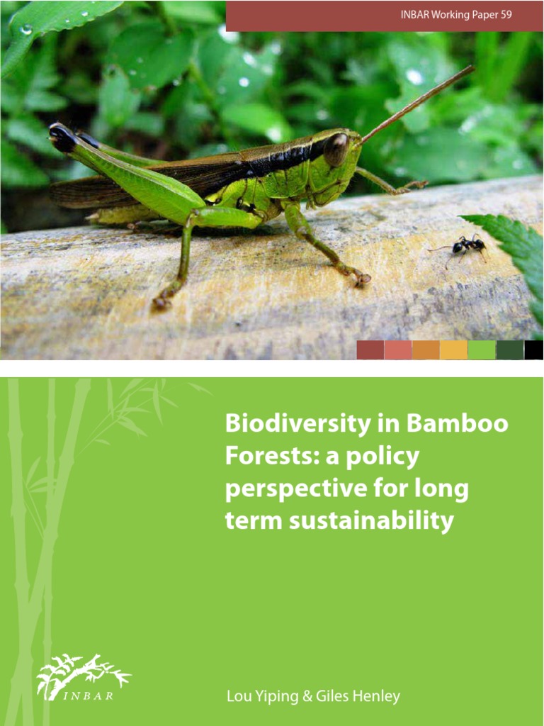 Bamboo Forest | PDF | Wellness