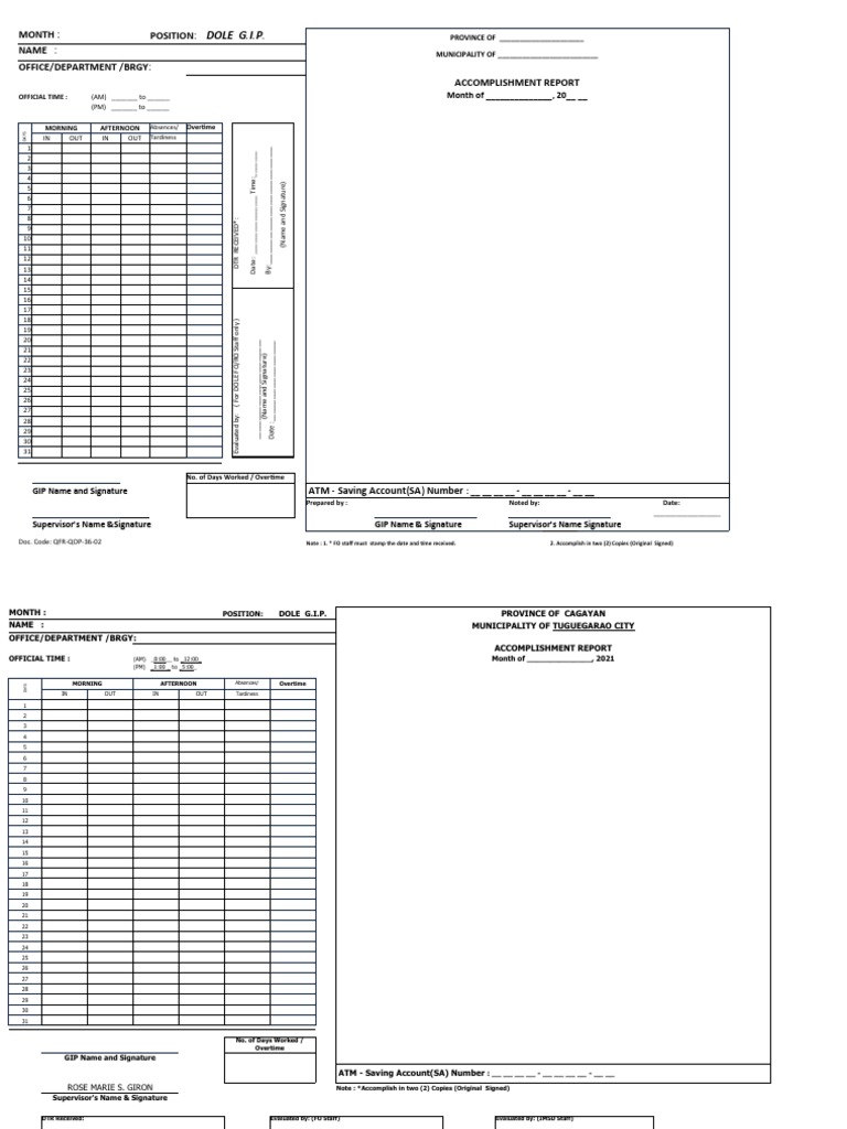 DTR Form for DOLE G.I.P. Reporting | PDF
