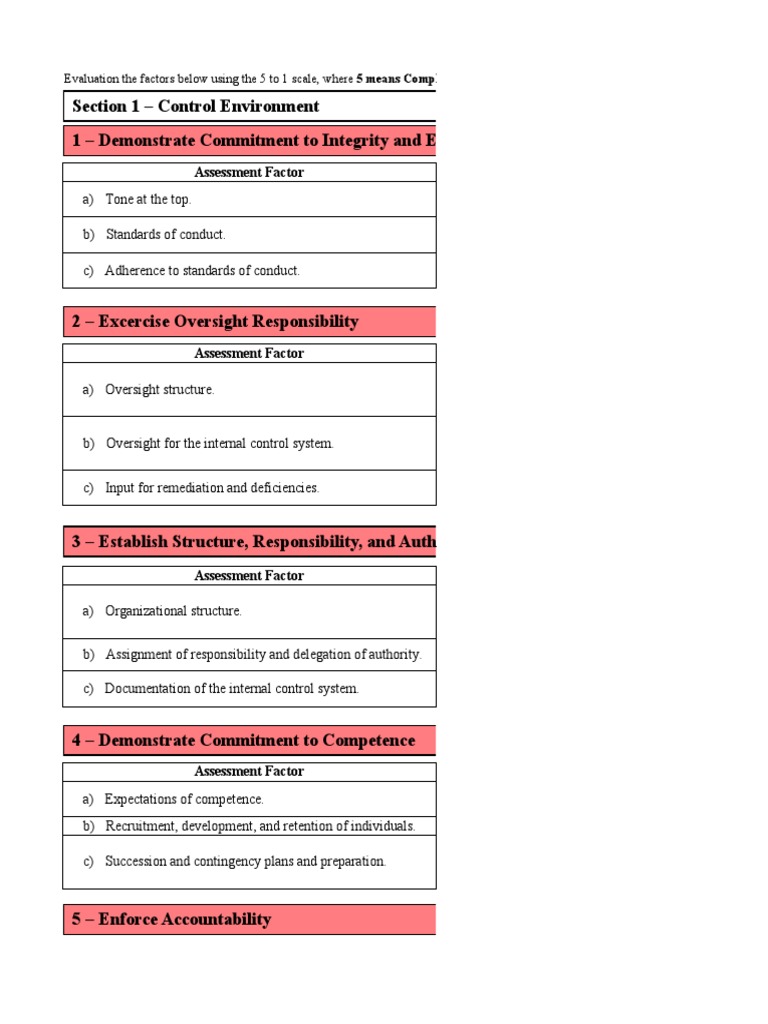 Self Assessment Control Environment PDF