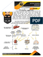 Modul 11.10 Sistem Ekskresi Manusia Kelas Ix