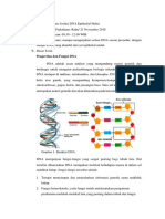 Teori DNA