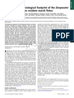 Genomic and Physiological Footprint of The DWH Oil Spill On Resident Marsh Fishes