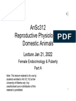 Female Endocrinology - Animal