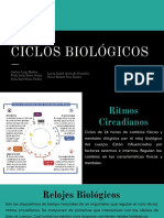 Ciclos Biologicos