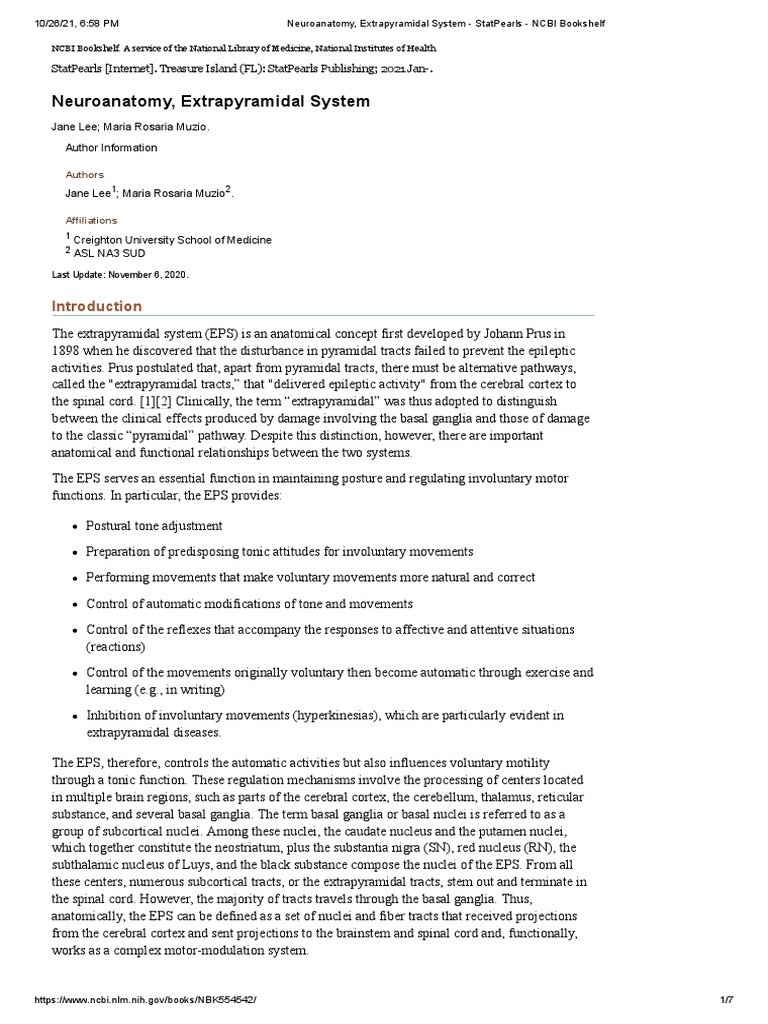Extrapyramidal System Overview | PDF