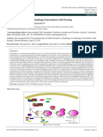 5102 Predictive Modeling of Autophagy Interrelation With Fasting