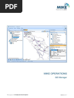 03.01 GIS Manager