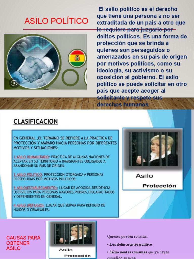 Guía Completa sobre Asilo Político | PDF | Política