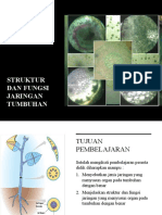 Struktur Dan Fungsi Jaringan