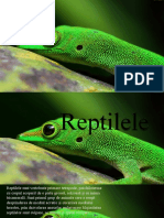 Reptilele
