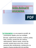 Leucaena Nutricion II