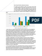 Atual Situação Política Indígena No Brasil