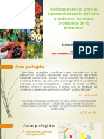 Políticas Públicas para El Aprovechamiento de Frutos y Palmeras en Áreas Protegidas de La Amazonía.