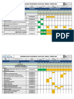 Programa Anual SST