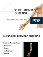 Anatomia Huesosdelmiembrosuperior 100911222253 Phpapp02