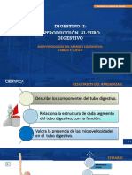 HISTOLOGIA Sesion 13 - Digestivo II Introducción Al Tubo Digestivo