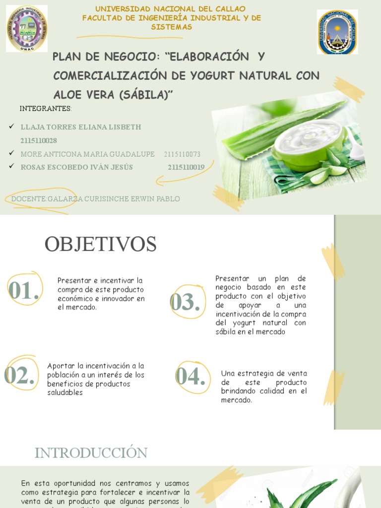 Plan de Negocio Elaboración y Comercializació de Yogurt Natural Con ...