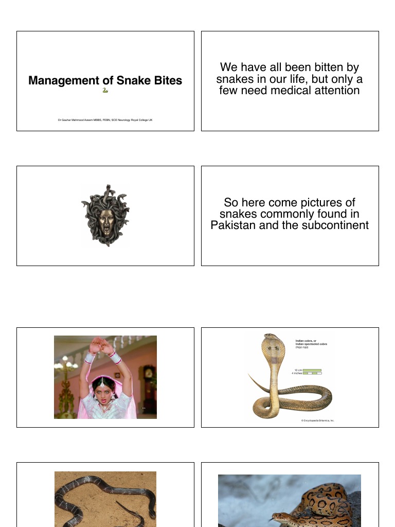 Treatment Snake bite | PDF