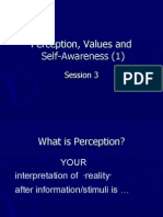Perception, Values and Self-Awareness (1) : Session 3