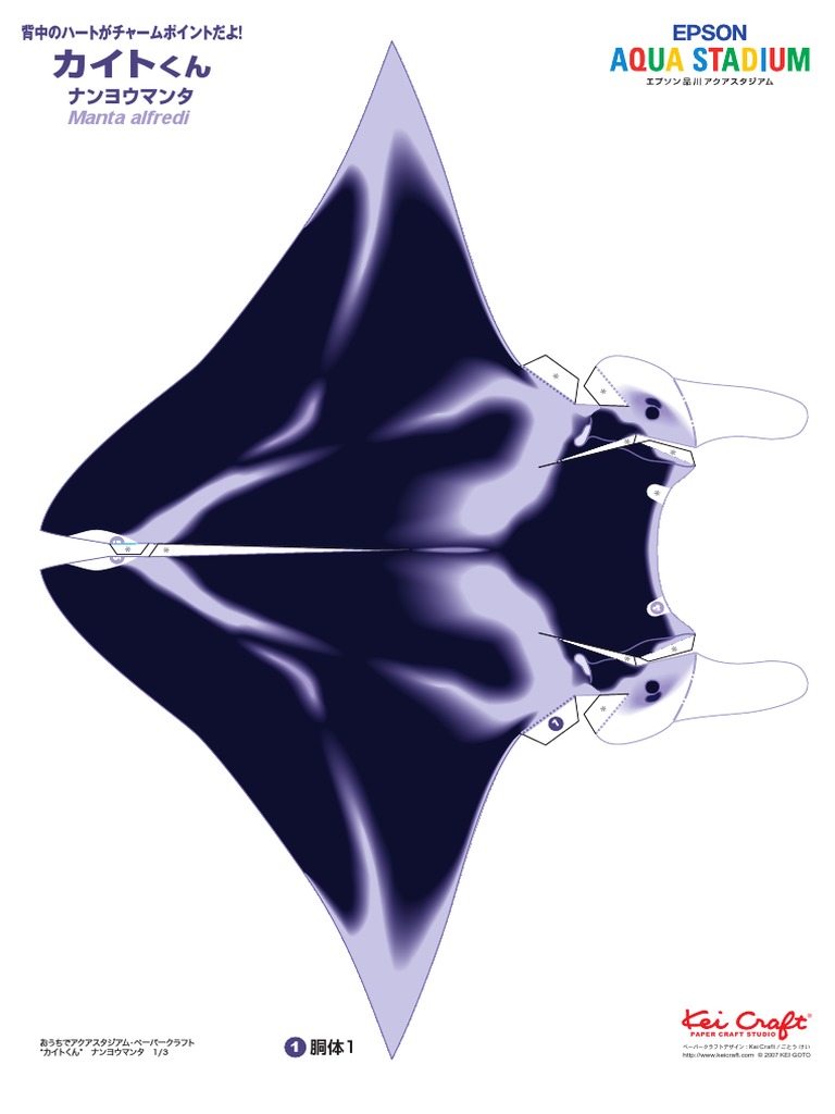 Manta Ray | PDF