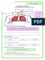 E4 s3 Ficha d3 CT Sistema Respiratorio