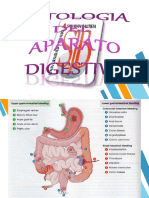 Fisiopatología Esófago y Gastrica