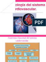 Fisiopatología Del Cardiovascular
