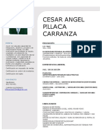 CV Pillaca Cesar