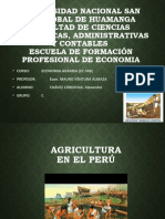 Agricultura en El Peru