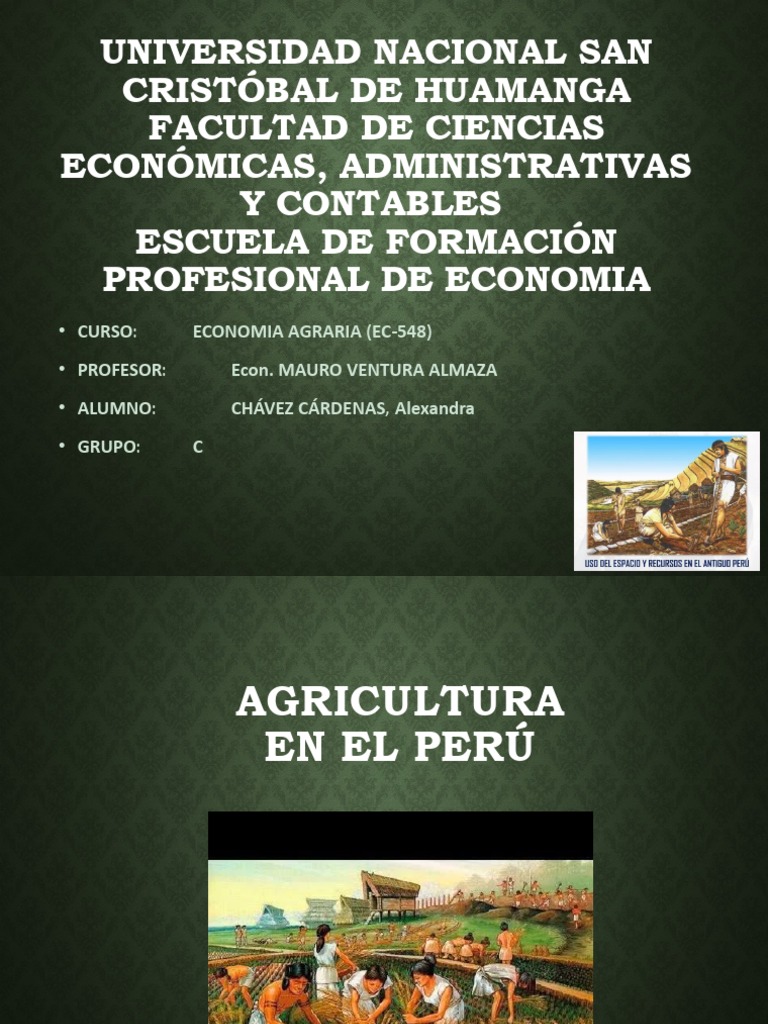 Agricultura En El Peru Pdf