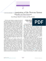 Chapter 2 Subcellular Organization of The Nervous Sys 2014 From Molecules