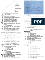 PostTermino Resumen