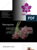 Importacion de Orquideas