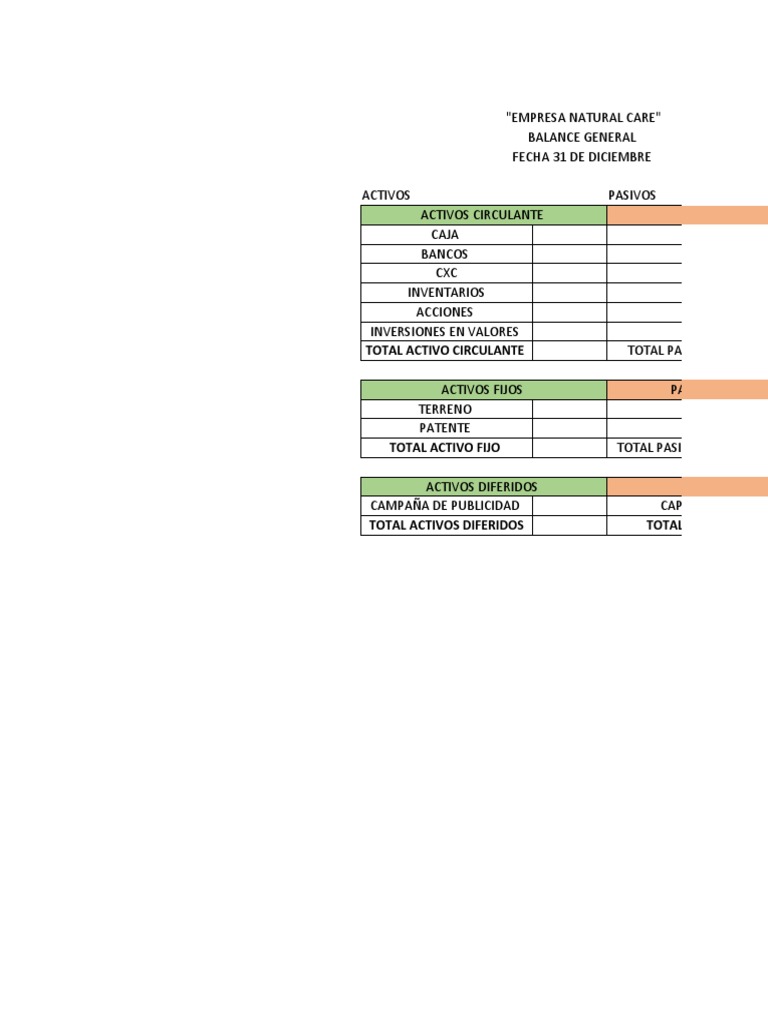 Practica Balance General | PDF | Hoja de balance | Economias