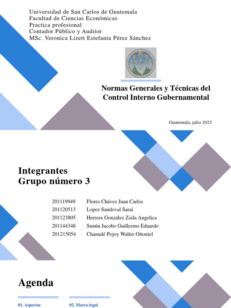Normas de Control Interno Gubernamental | PDF