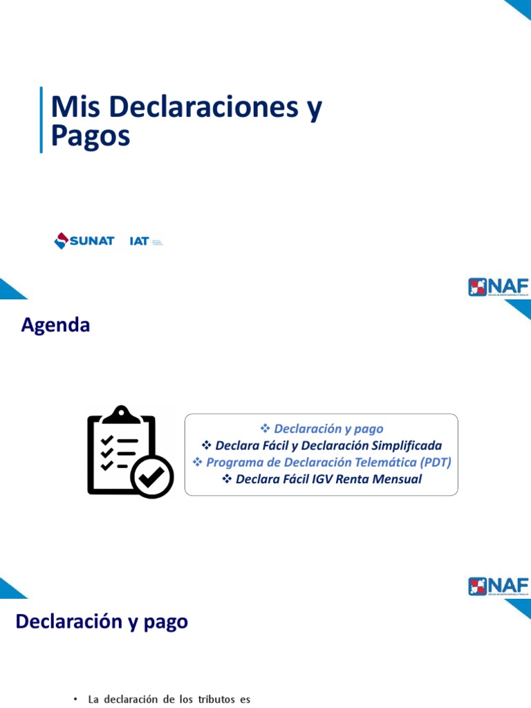 Declaraciones y Pagos de SUNAT: Guía Completa | PDF | Tarjeta de ...