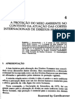 A Proteção Do Meio Ambiente Nas Cortes Internacionais de Direitos Humanos