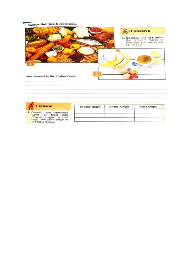 Food Groups | PDF