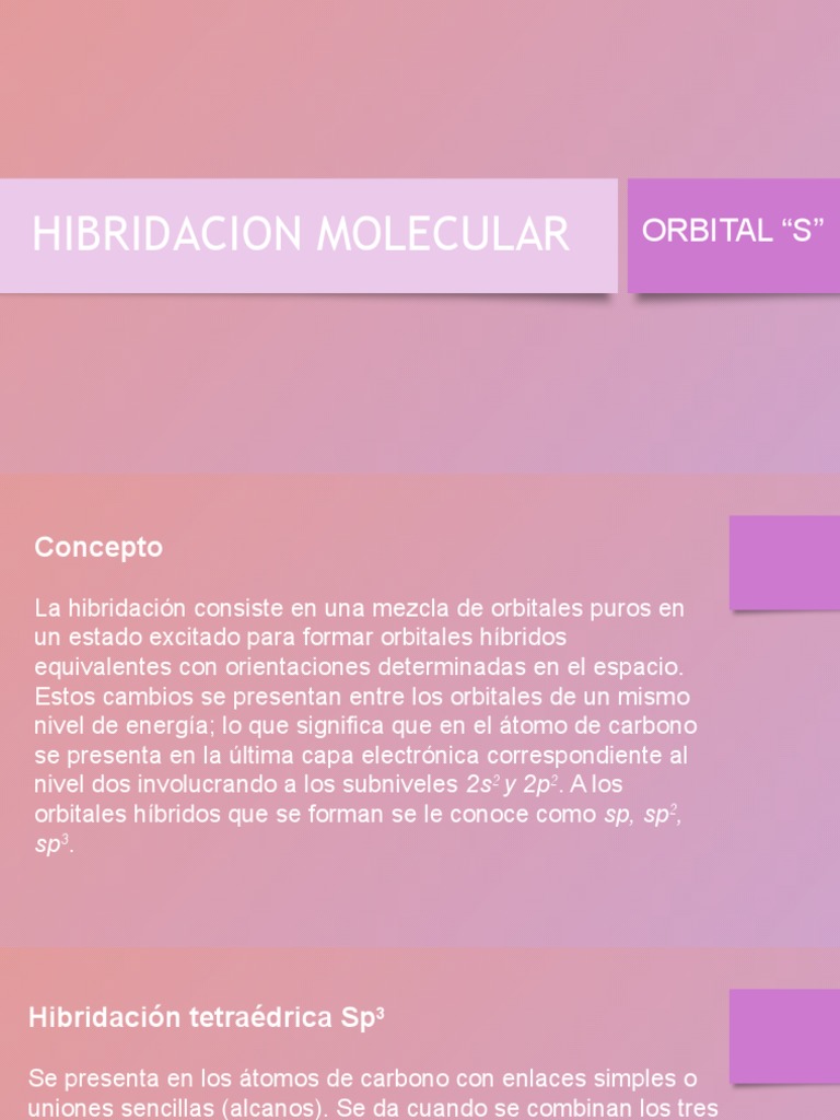 HIBRIDACION PDF
