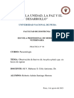Práctica 8 - Parasitología - Informe