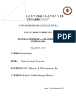 Práctica 7 - Parasitología - Informe