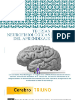 Teorias Neurofisiologicas Del Aprendizaje