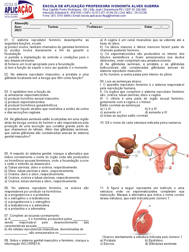 Atividade Sistema Reprodutor 8 Ano - Image to u
