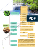 8vo Primer Trimestre