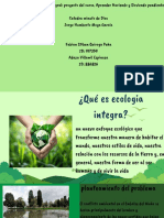 Ecologia Integral