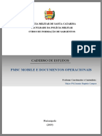 CADERNO DE ESTUDOS - CFS 2019 - Atualizado (1)