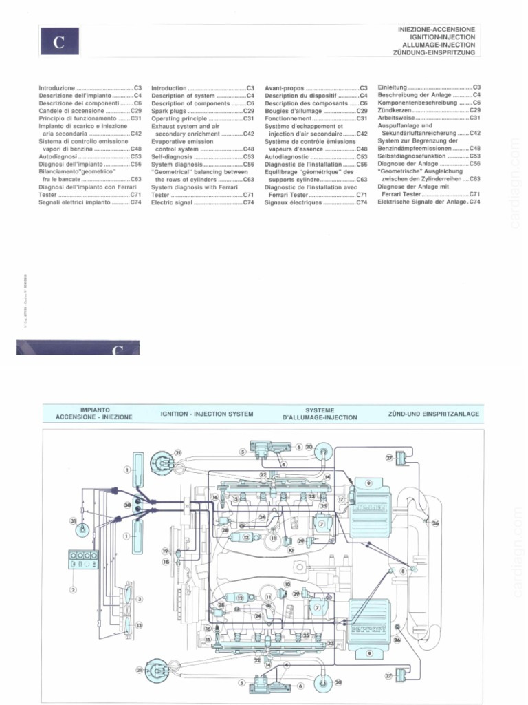 PREVIEWS: THE HAMBURG SHOW-ASNE FALL SYMPOSIUM, image size:768x1024