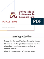 6 - Muscle Tissue DR - Vera 2021-2